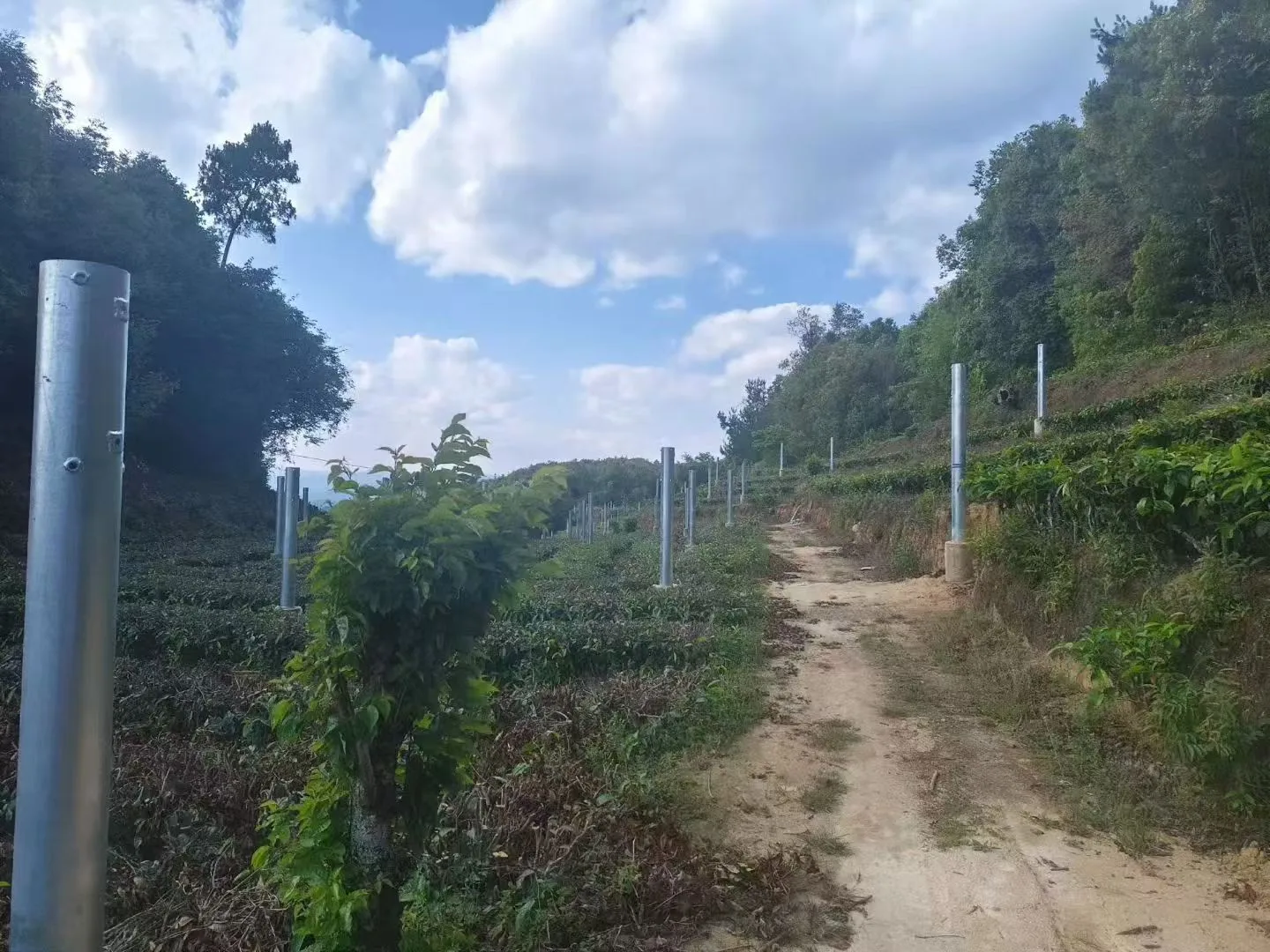 山地光伏支架立柱施工